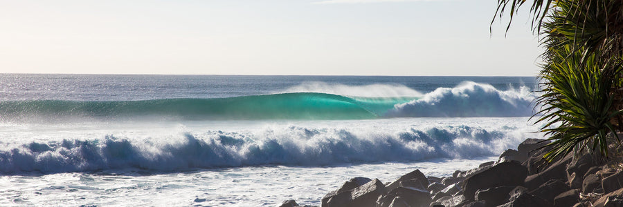 Powerful ocean wave breaking over rocks with pandanus trees on the coastline