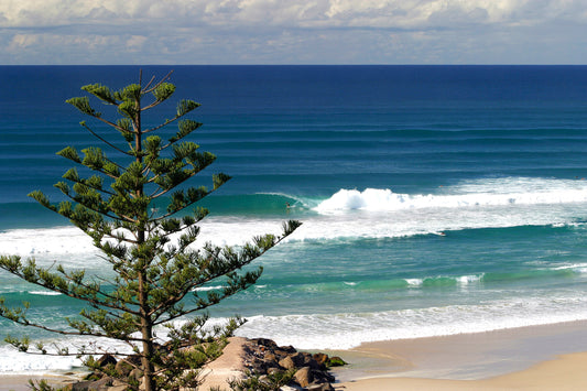 0179-Kirra