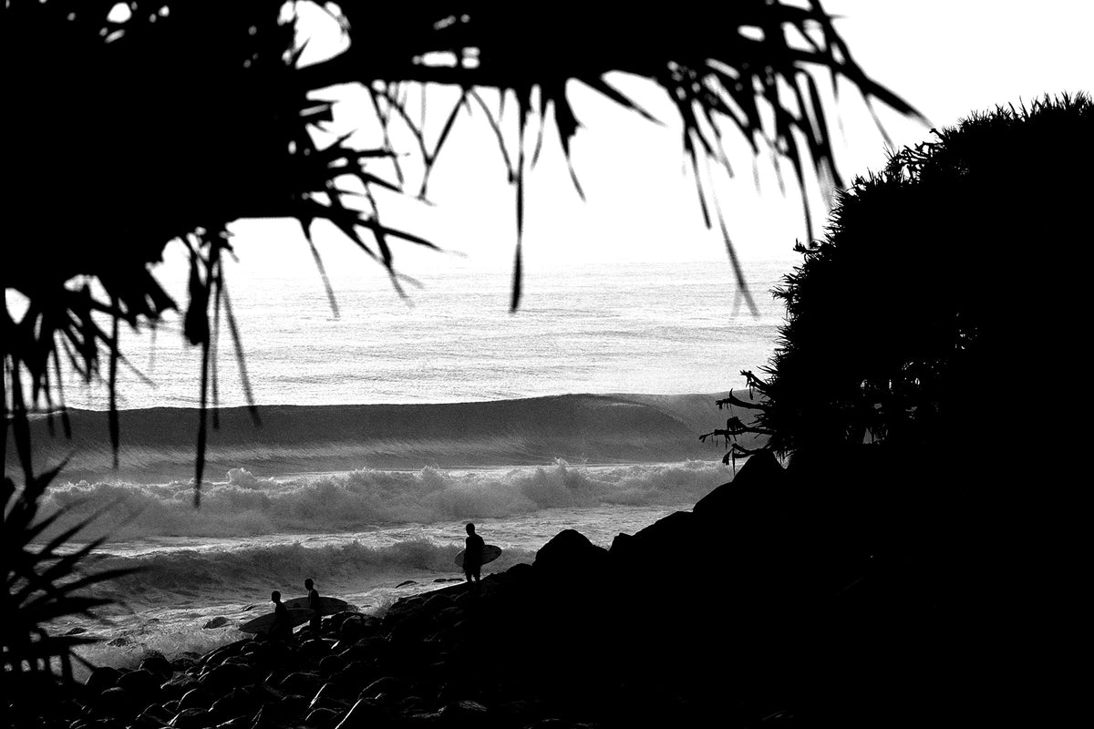 0243-Burleigh-Cove — detail close-up