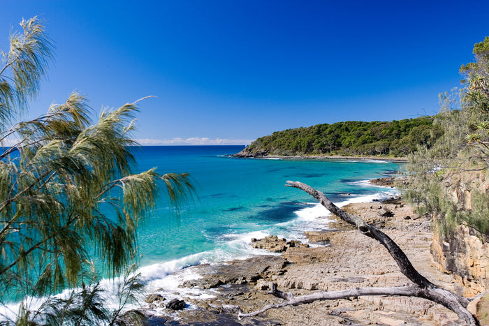 0348-Tea-Tree-Bay-Noosa