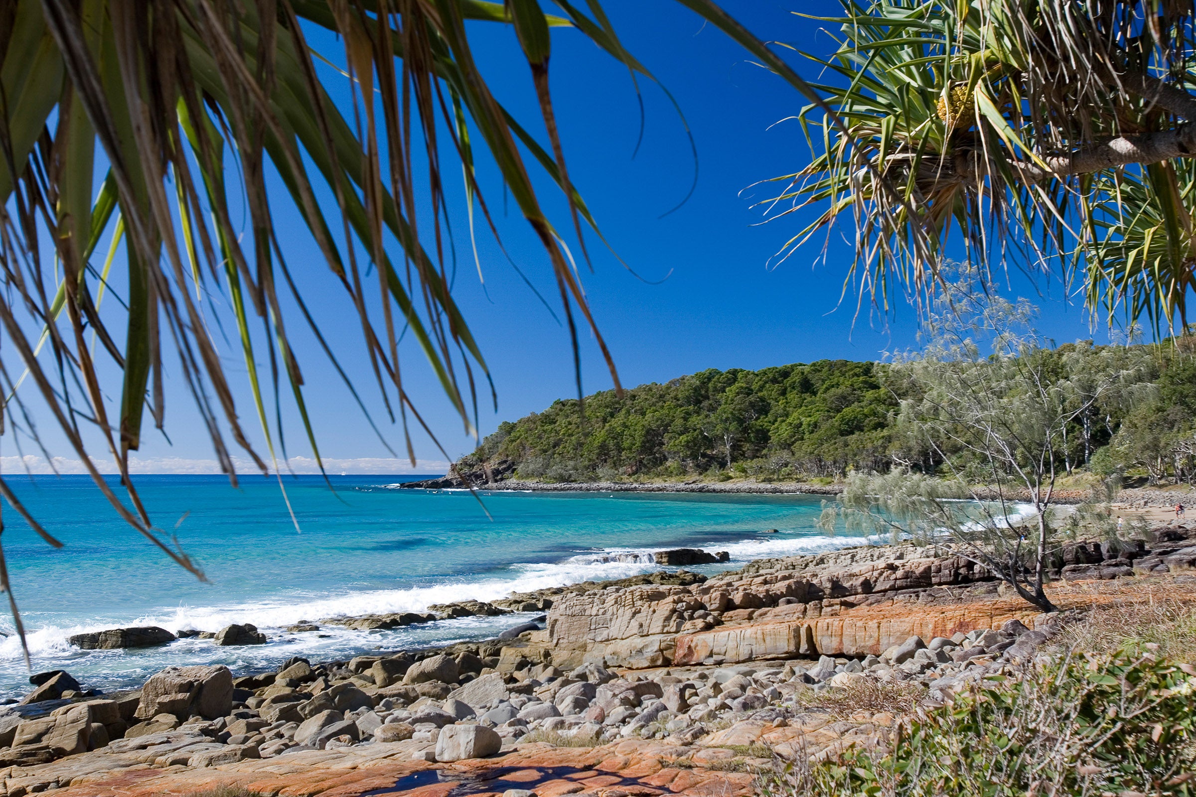 0349-Noosa-National-Park