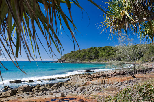 0349-Noosa-National-Park