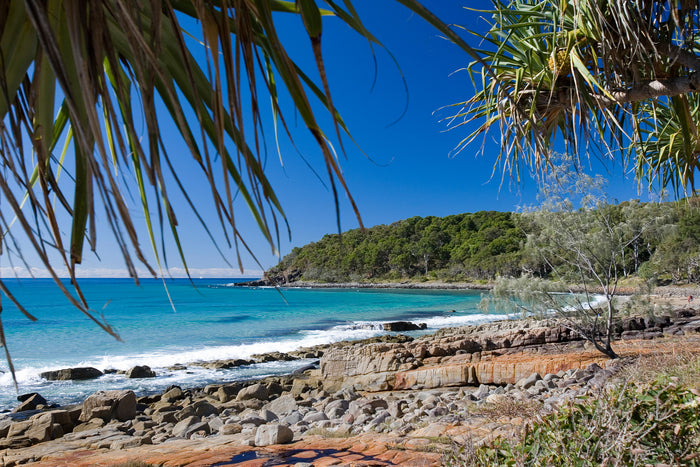 0349-Noosa-National-Park