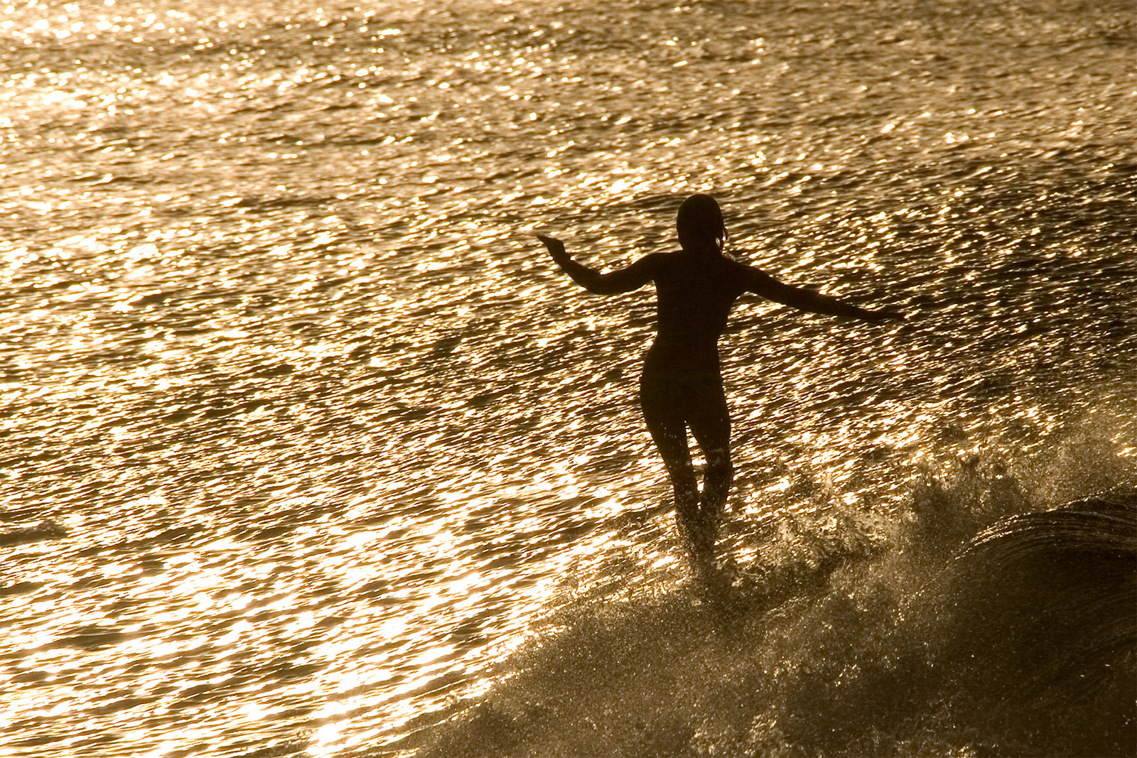 0404-Golden-Surfer — detail close-up