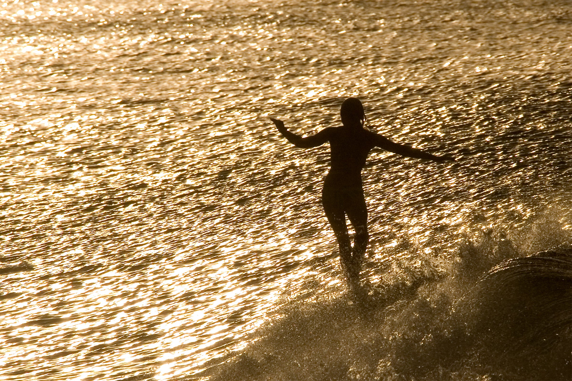 0404-Golden-Surfer