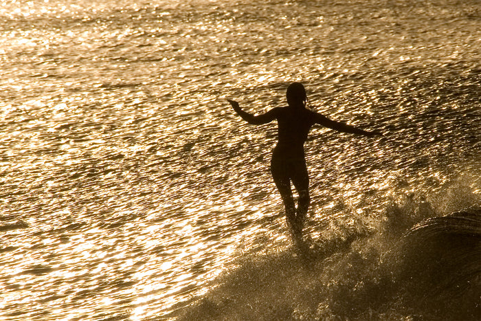 0404-Golden-Surfer