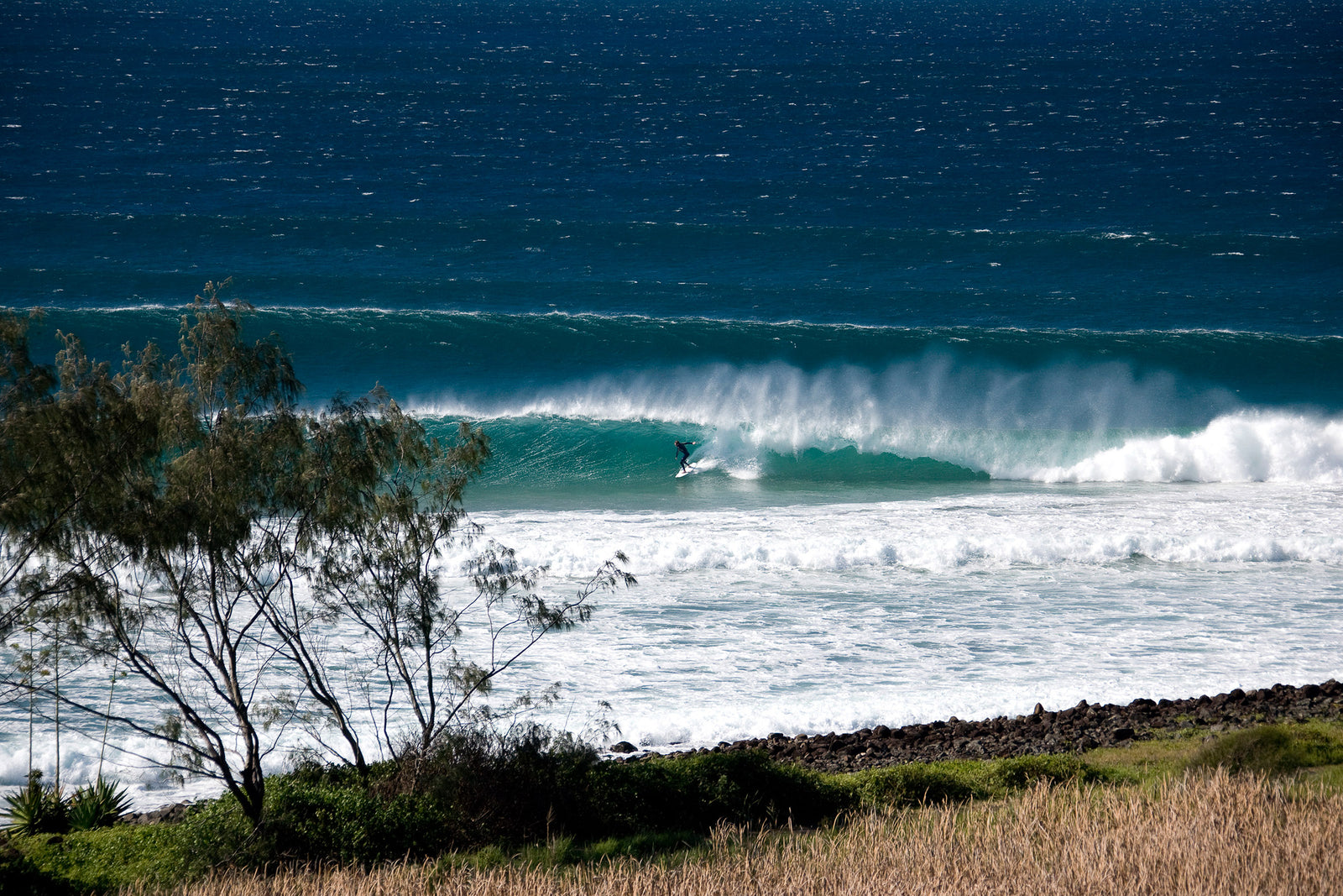 0485-Surfer-Lennox-Head