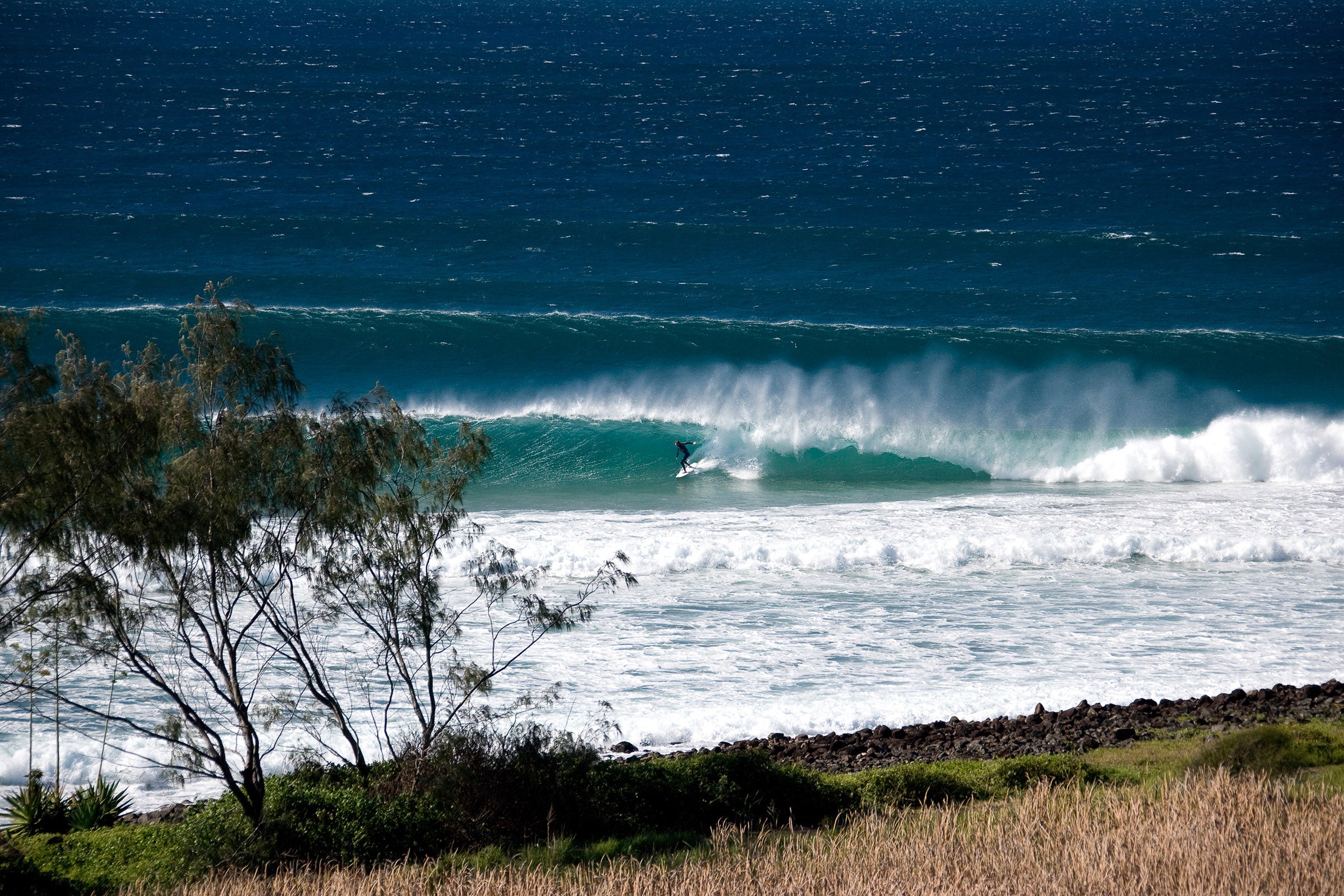 0485-Surfer-Lennox-Head