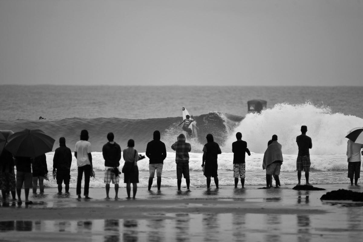 1350-Snapper-Rocks — detail close-up