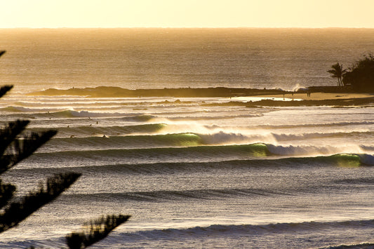 1841-Line-Up-Snapper-Rocks