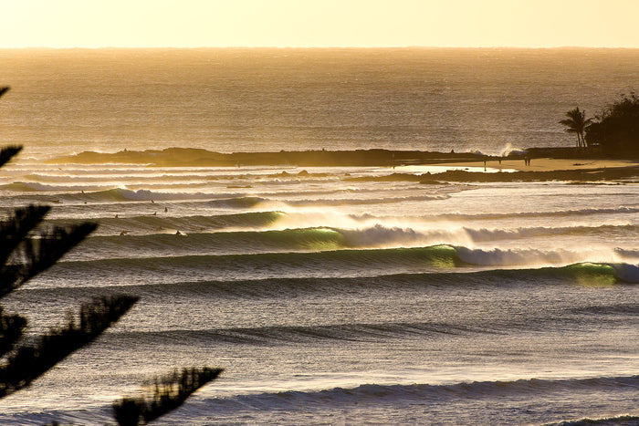 1841-Line-Up-Snapper-Rocks