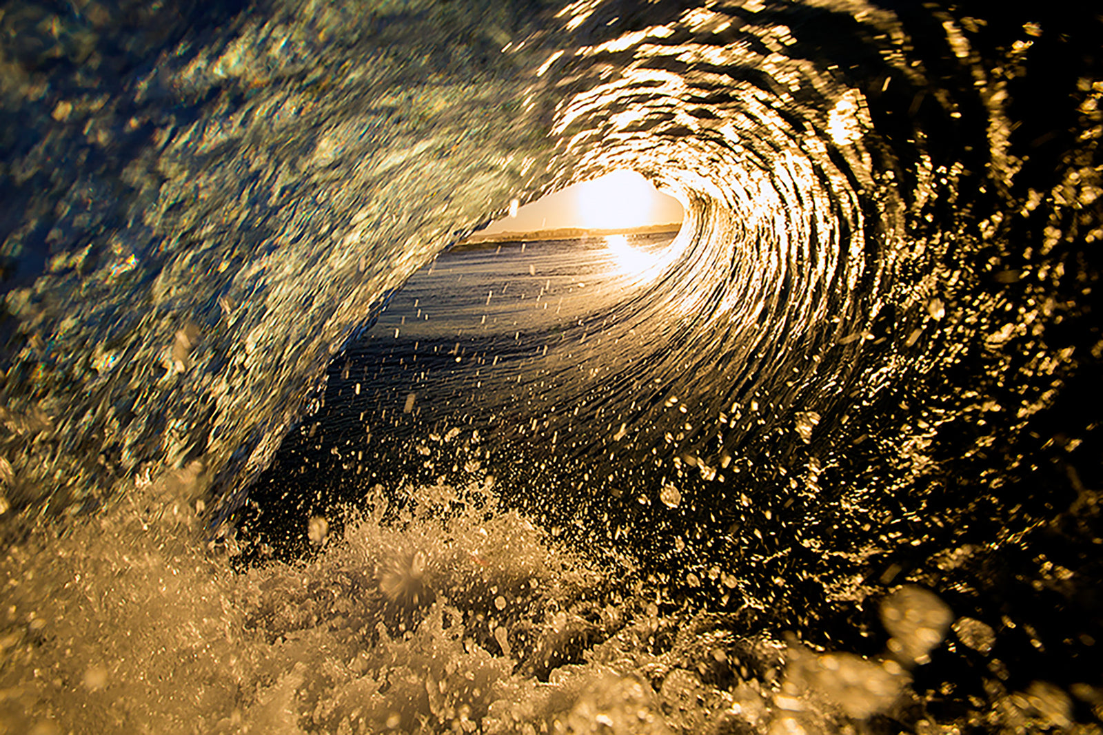 2081-Golden-Barrell