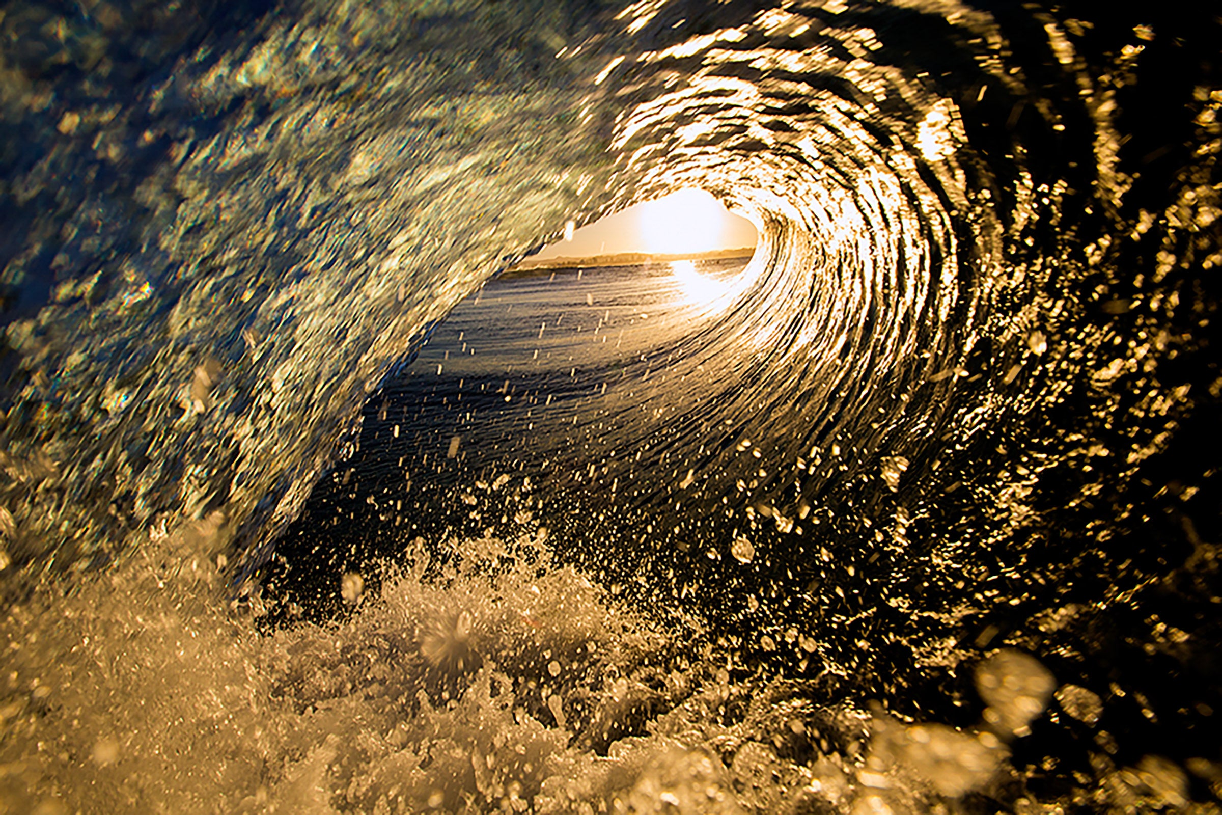 2081-Golden-Barrell