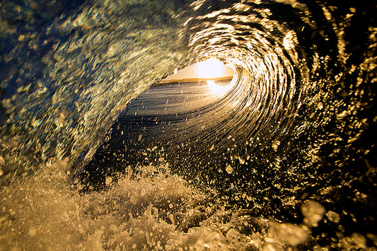 2081-Golden-Barrell