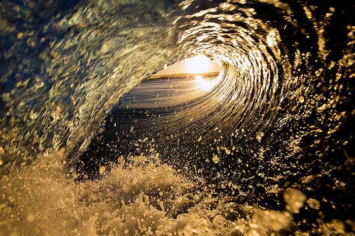 2081-Golden-Barrell