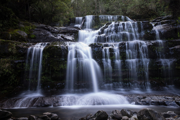 2428-Liffy-Falls-Tasmania