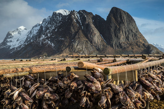 2580-Rein-Lofoten-Islands-Norway