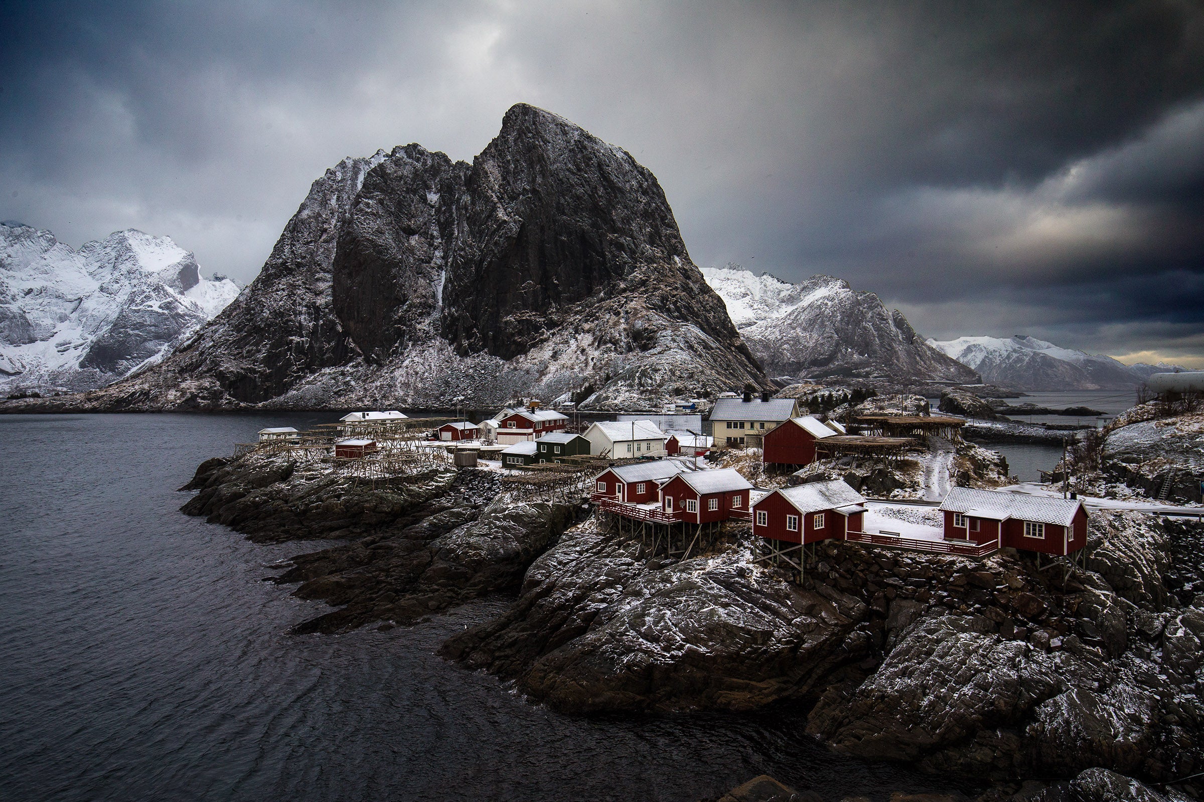 2584-Rein-Lofoten-Islands-Norway