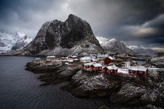 2584-Rein-Lofoten-Islands-Norway