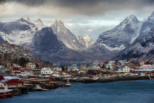 2587-Rein-Lofoten-Islands-Norway