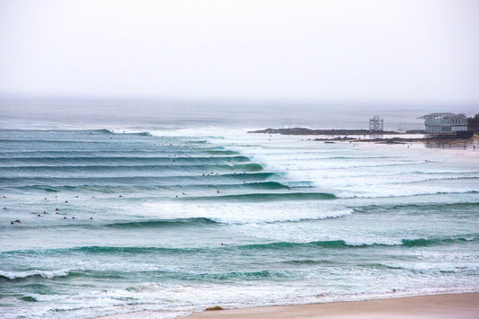 2612-Super-Bank-Snapper-Rocks