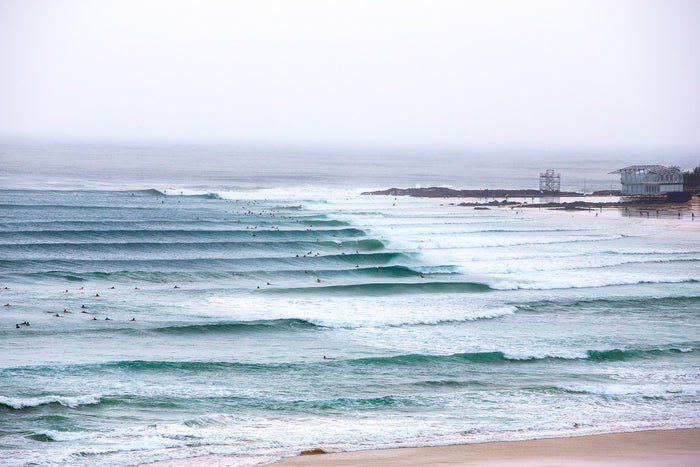 2612-Super-Bank-Snapper-Rocks