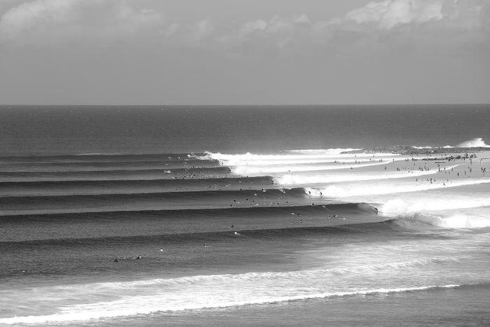 2631-Super-Bank-Snapper-Rocks.
