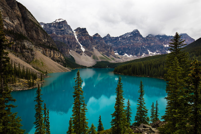 2663-Canada