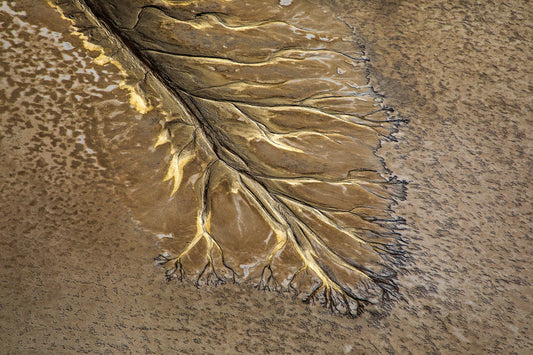 Australia coastline, flowing sand and water patterns in earthy tones, aerial photography – Sean Scott Photography