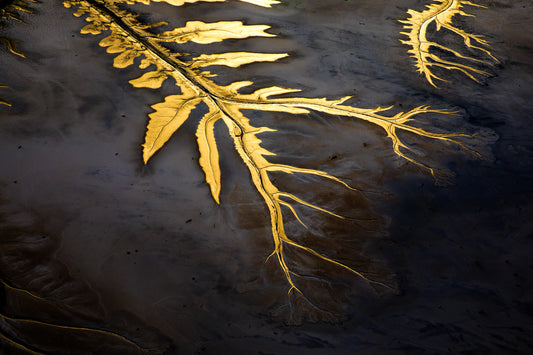 Australia coastline, abstract golden and dark textures resembling organic patterns, aerial photography – Sean Scott Photography