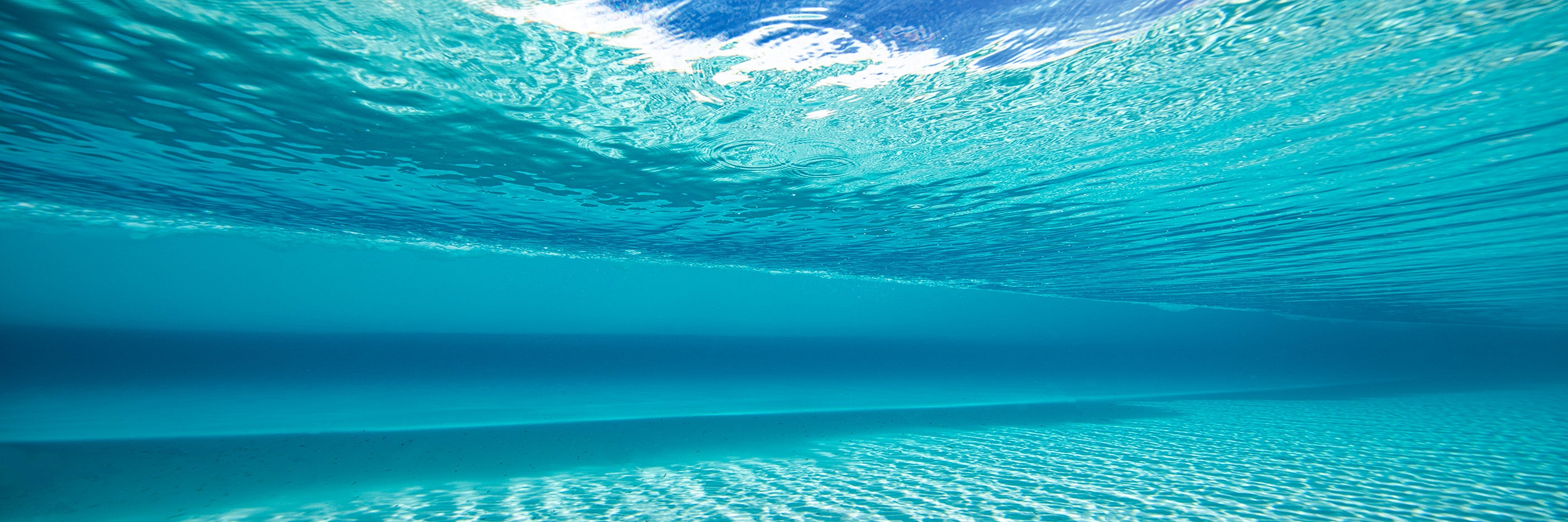 Underwater view of clear turquoise ocean with sunlight rippling across the sandy seabed