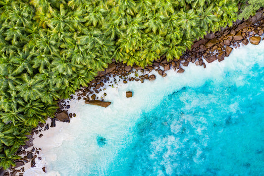 Seychelles tropical island, palm trees and turquoise lagoon shoreline, aerial photography – Sean Scott Photography