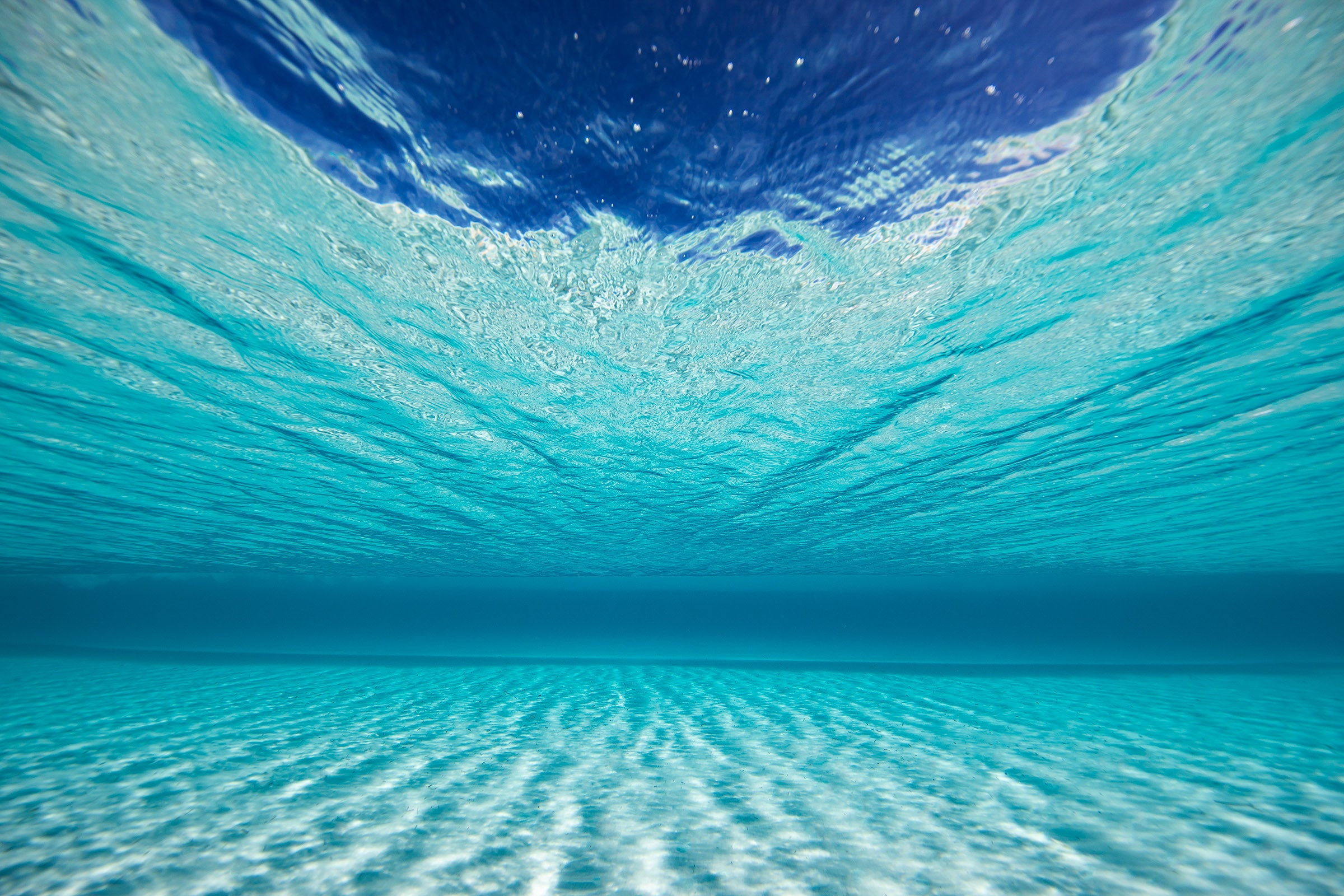 Ocean wave underwater view, crystal clear barrel forming beneath the surface, ocean photography – Sean Scott Photography