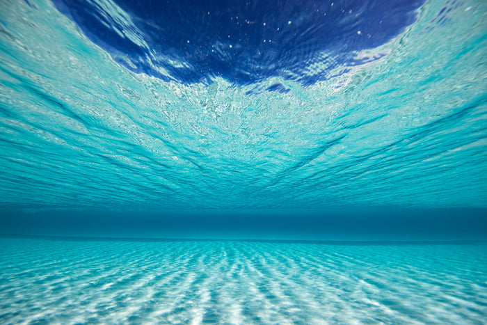 Ocean wave underwater view, crystal clear barrel forming beneath the surface, ocean photography – Sean Scott Photography