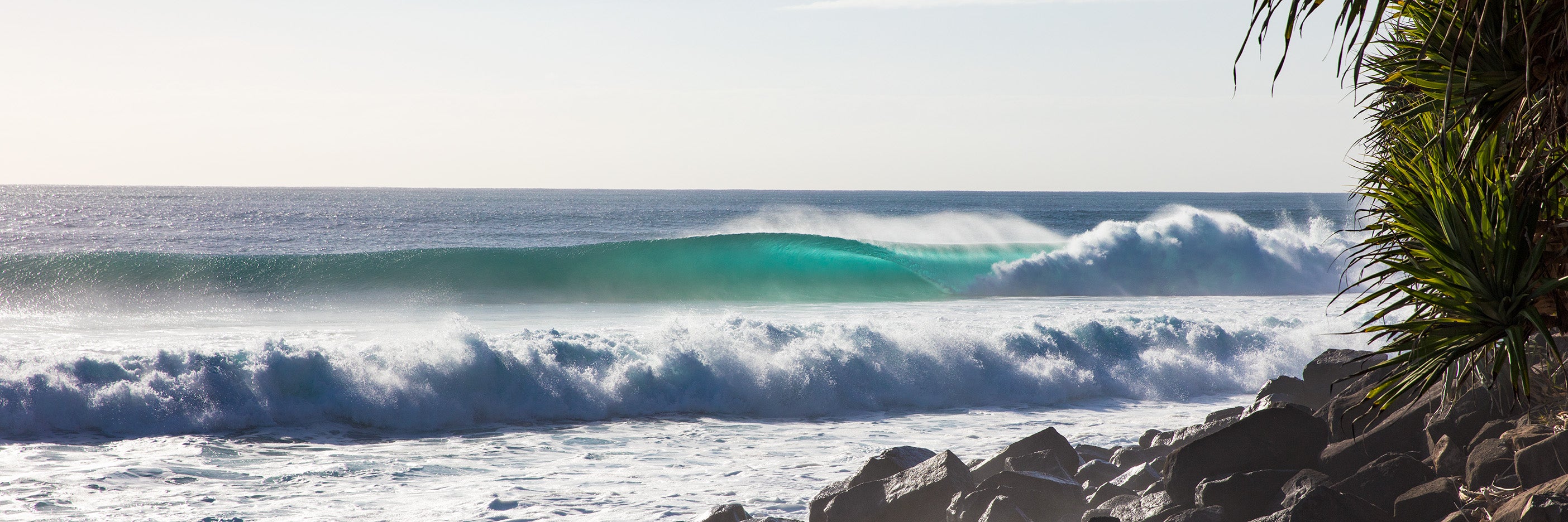 Powerful ocean wave breaking over rocks with pandanus trees on the coastline