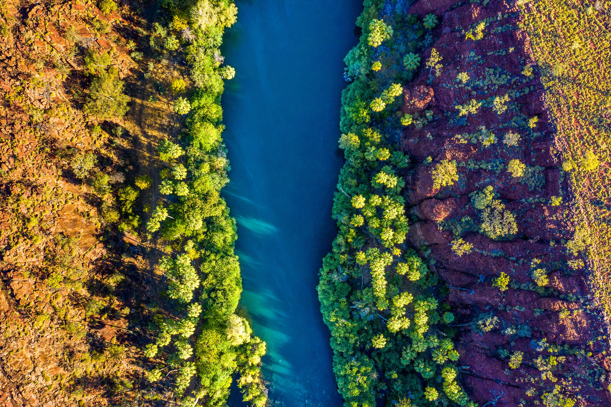 Lawn Hill National Park Queensland, emerald river winding through sandstone gorge, aerial photography – Sean Scott Photography