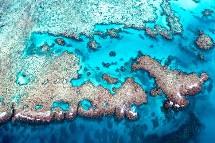 Great Barrier Reef Queensland, coral reef formations in tropical blue water, aerial photography – Sean Scott Photography