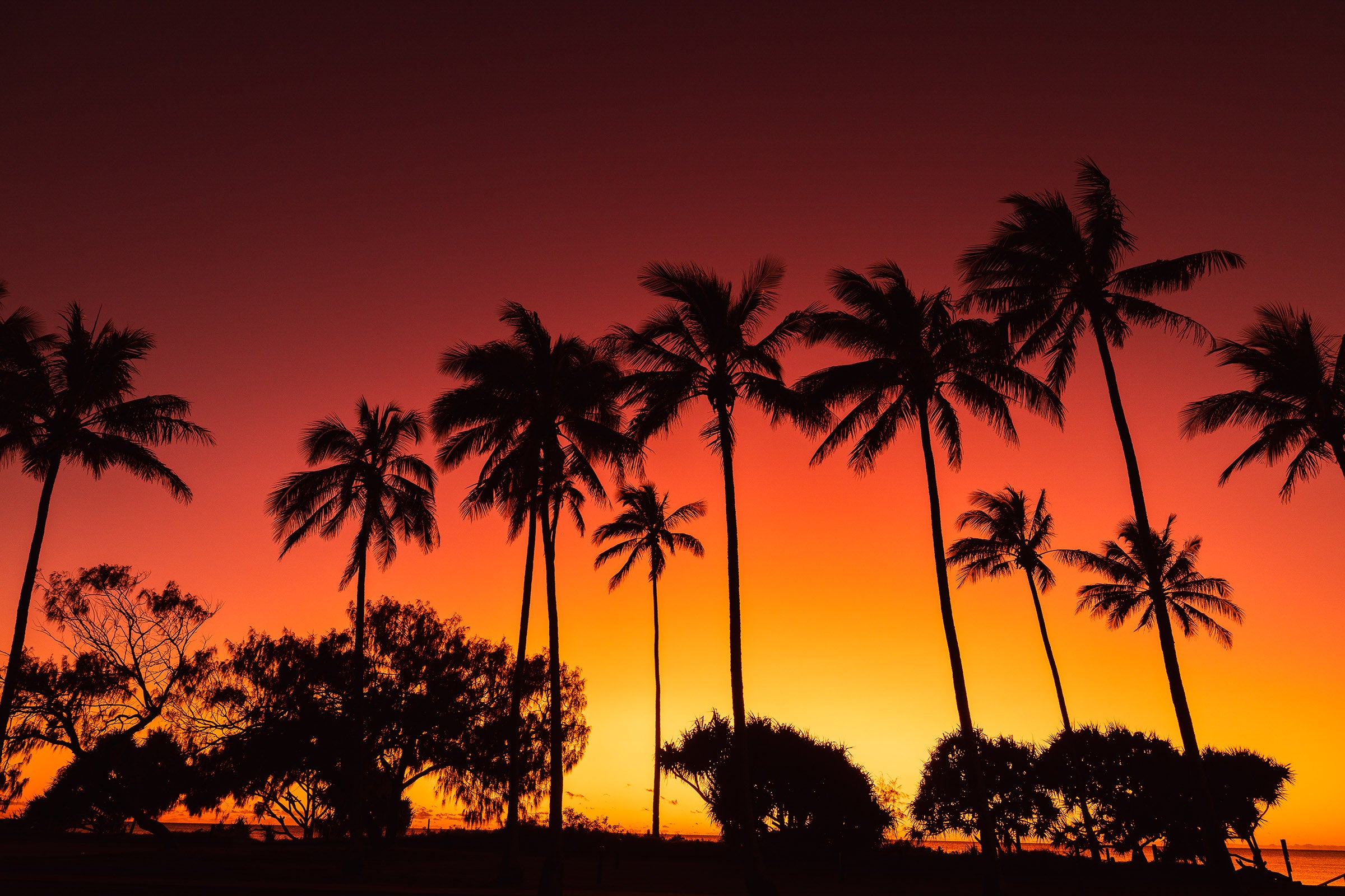Tropical coastline, silhouetted palm trees against colourful sunset sky, landscape photography – Sean Scott Photography