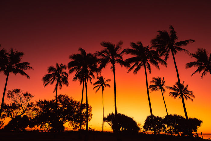 Tropical coastline, silhouetted palm trees against colourful sunset sky, landscape photography – Sean Scott Photography