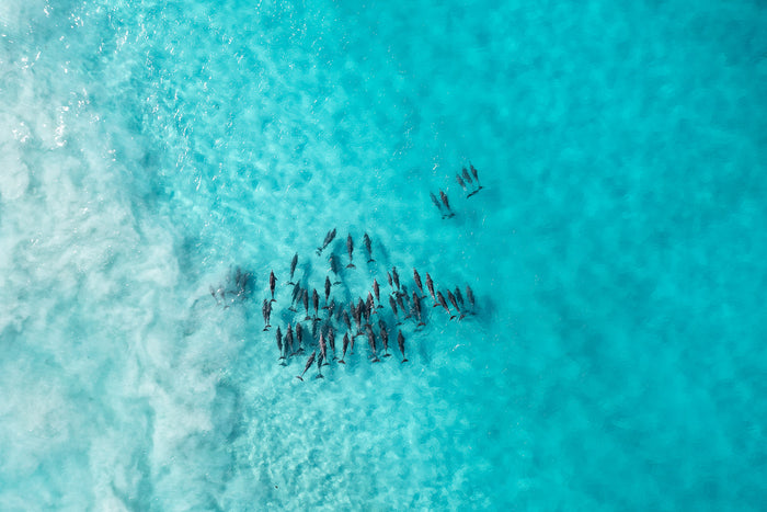 Western Australia coastline, turquoise ocean and reef patterns from above, aerial photography – Sean Scott Photography