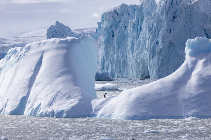 Antarctica, iceberg landscape with soft blue tones and calm polar ocean, fine art photography – Sean Scott Photography